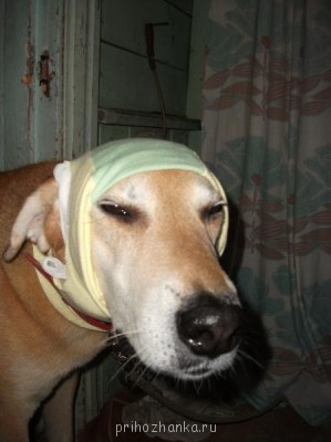 Это уже "раненый" на "Колчаковских фронтах".