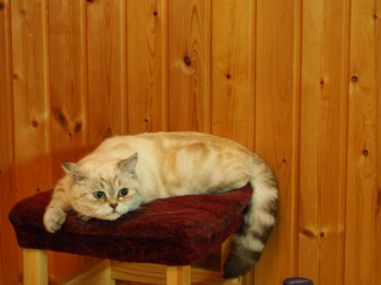 Не, не дали поспать)))..