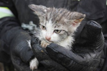 Что такое доброта ? Что такое счастье? - J595Z07ging.jpg