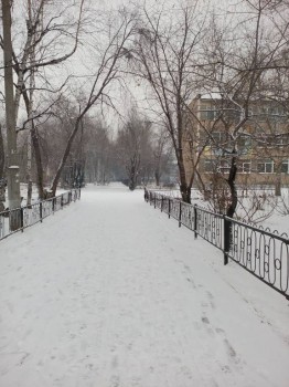 Поговорим о погоде - IMG_20161103_144057.jpg