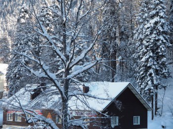 Лучше гор могут быть только горы... Домбай  - P2032149.JPG