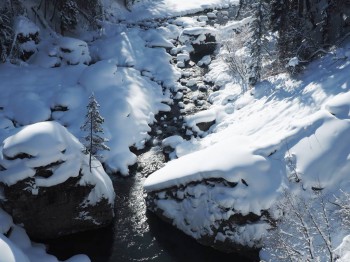 вид с моста