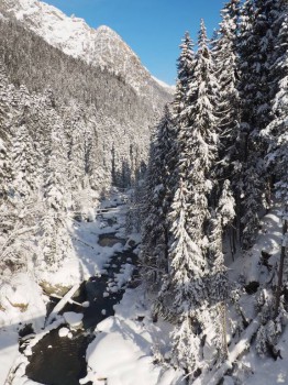 Лучше гор могут быть только горы... Домбай  - P2032171.JPG