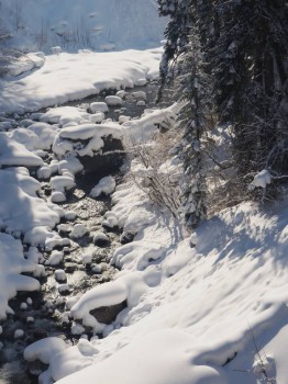 Лучше гор могут быть только горы... Домбай  - P2032175.JPG