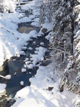 Лучше гор могут быть только горы... Домбай  - P2032172.JPG