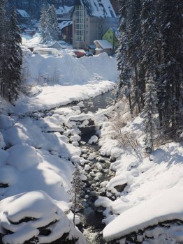 Лучше гор могут быть только горы... Домбай  - P2032202.JPG