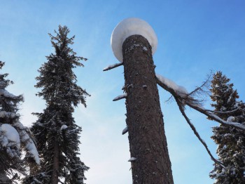 Лучше гор могут быть только горы... Домбай  - P2032237.JPG