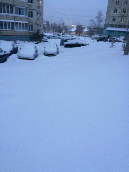 Поговорим о погоде - IMG_0728.JPG