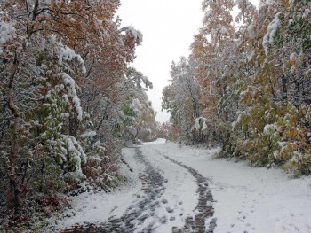 Конкурс осенняя подпись - осень ноябрь 3.jpg