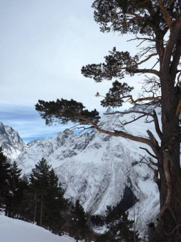 Лучше гор могут быть только горы... Домбай  - P2042375.JPG