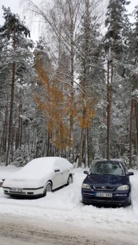 Чем сегодня занимались - 20161110_130604.jpg