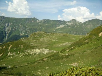 Абхазия - image-0-02-01-e65867e9f4546778bef8099720fab6098cc3d9f4041304169d3dd22df02ad84f-V.jpg