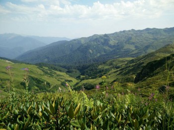 Абхазия - image-0-02-01-33afdb585b8b8b7f8d857528992f5431f61e9f3dc99d9528da16d88f6ab2b80f-V.jpg