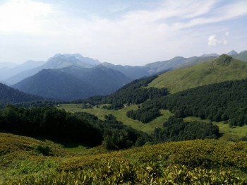 Абхазия - image-0-02-01-6b613fdd902d02d8b936c804b07c02a12754bd898fa2feebdfbd7290513b2ad7-V.jpg