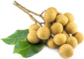 Чем сегодня занимались - longan.jpg