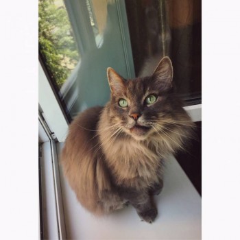 Кого из животных вы содержите? Фото приветствуется. - IMG-20150810-WA0000.jpg