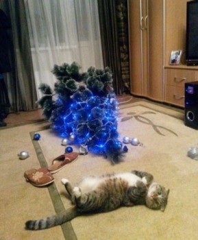 Из ВКонтактика с приветиком  - image.jpg