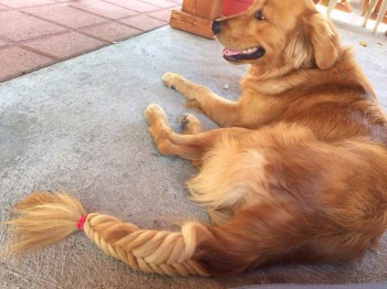 Из ВКонтактика с приветиком  - image.jpg