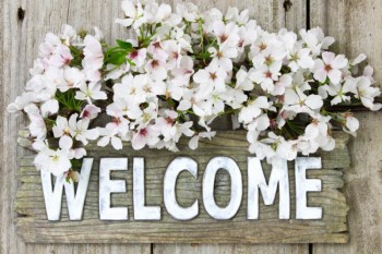 Здравствуйте,давайте знакомиться-2 - image-23.jpg