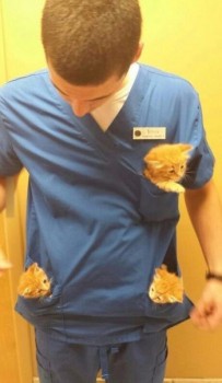 Из ВКонтактика с приветиком  - image.jpg