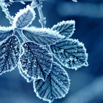 Конкурс осенняя подпись - конкурс.jpg