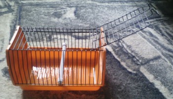 Попугайчики и все о них... - Picture 048.jpg