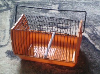 Попугайчики и все о них... - Picture 057.jpg