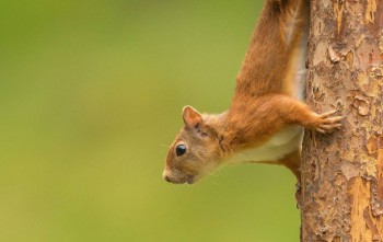 Аватарки. Наши интернет-лица-2 - jIchhKpjU1A.jpg