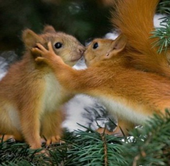 Аватарки. Наши интернет-лица-2 - RWkyZ6gbmRE.jpg