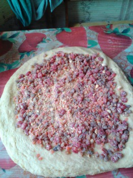 Рождественская и новогодняя выпечка - Lenovo_A1000_IMG_20161218_125357.jpg