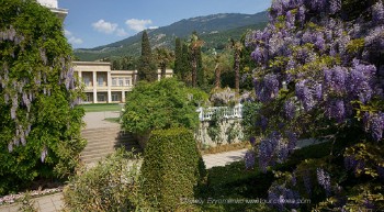 Обзор интересных растений для сада --- на заметку  - 27327.jpg