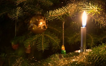 Доброго утра Хорошего дня Спокойной ночи  - image-56.jpg