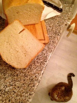 Моя подружка хлебопечка: советы и рецепты, выбор модели. - image.jpg