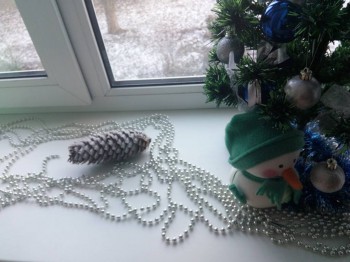 флешмоб окошко в сказку  - IMG_20161228_151357.jpg