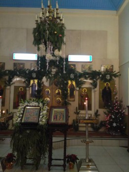 Храмовая флористика - IMG_20170107_172208.jpg