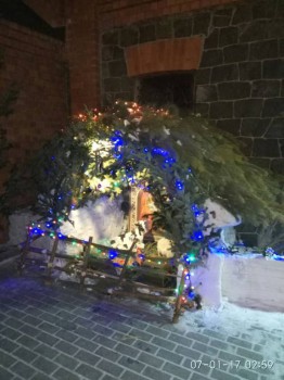 Храмовая флористика - IMG-20170108-WA0001.jpg