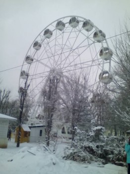 Поговорим о погоде - IMG_20170108_124419.jpg