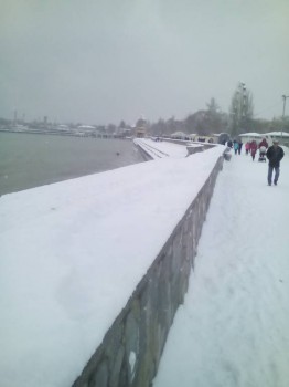 Поговорим о погоде - IMG_20170108_124115.jpg