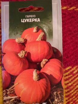 Тыква - IMG_20170111_144701.jpg