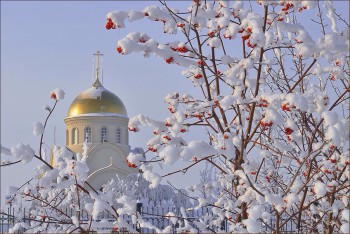 Доброго утра Хорошего дня Спокойной ночи  - image.jpg