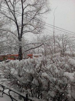 Поговорим о погоде - IMG_20170115_122719.jpg