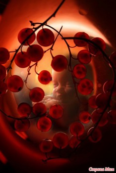 На пороге абортария - 3838848_12986nothumb500.jpg