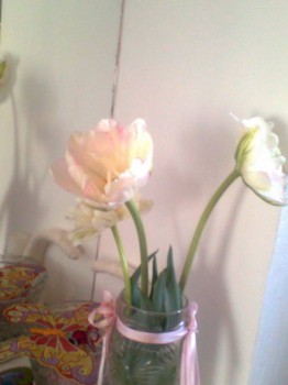 Цветник без хлопот. - Фото0270.jpg