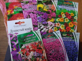 Цветник без хлопот. - IMG_20170116_153042.jpg