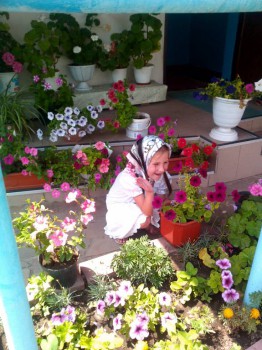 Цветник без хлопот. - IMG_20160712_122444.jpg