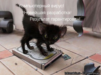 Cмешное из жизни животных. Фото и видео из интернета. - IMG_3072.JPG