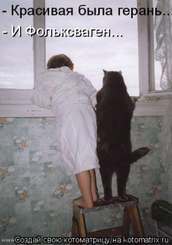 Cмешное из жизни животных. Фото и видео из интернета. - IMG_3075.JPG