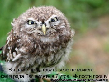 Cмешное из жизни животных. Фото и видео из интернета. - IMG_3081.JPG