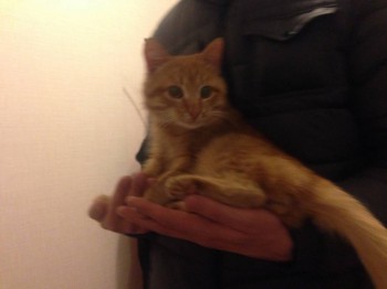 Кого из животных вы содержите? Фото приветствуется. - IMG_0315.JPG