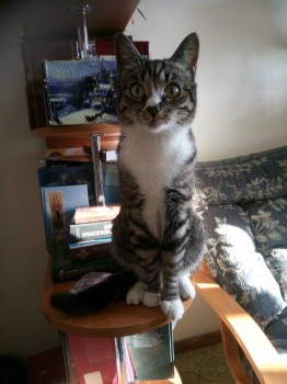 Кого из животных вы содержите? Фото приветствуется. - DSC_0082.JPG